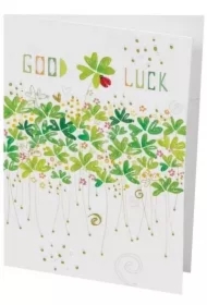 Karnet B6 + koperta MO7428X1 Powodzenia