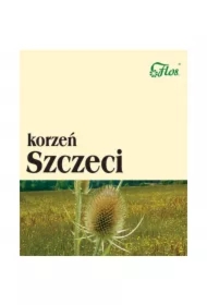 Korzeń Szczeci