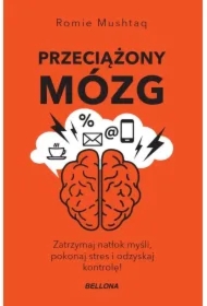 Przeciążony mózg