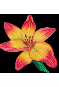 Karnet z kopertą SB12 Lilia