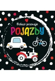Bobas poznaje pojazdy
