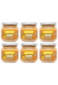 Deser wieloowocowy z ekologicznym mango po 6 miesiącu Zestaw