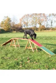 Kładka dla psów Dog Activity Agility, 456 x 64 x 30 cm