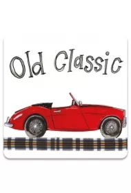 Magnes FM239 Samochód