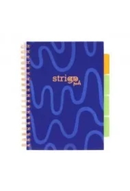 Kołozeszyt Pads B5 Neon granatowy