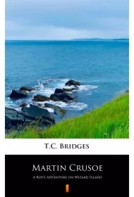 Martin Crusoe