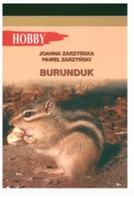 Buruduk