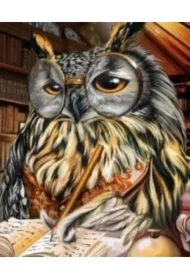 Malowanie po numerach - Sowa