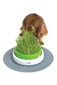 Zestaw trawa ogrodowa Senses, 5.5 x 37 x 37 cm