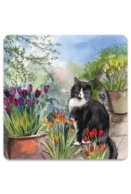 Magnes FM246 Kot Roderick w ogrodzie