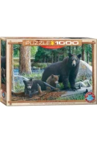 Puzzle 1000 el. New Discoveries by Daniel