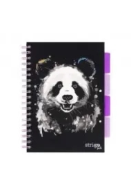Kołozeszyt Pads B5 Panda
