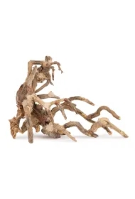 Tonące drzewo Bonsai nr 64 70 x 50