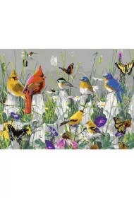 Malowanie po numerach - Ptaszki