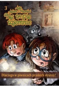 Aga, Adam... T.3 Dlaczego w piwnicach praskich...