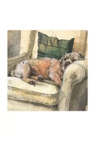 Magnes FM212 Pies Walter