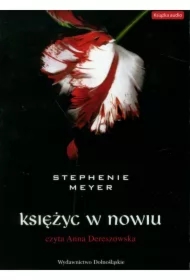 Księżyc w nowiu