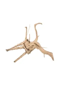 Korzeń bagienny S RED MOOR 15-30cm