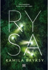 Rysa