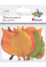 Dekoracje kartonowe Liście mix 30 szt