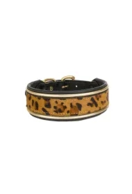 Obroża skórzana, 42-49 cm/42 mm, pantera