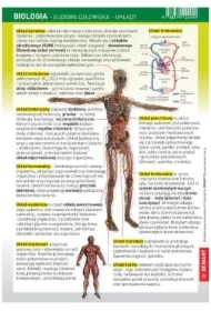 Ściągawka Biologia - Budowa Człowieka - Układy