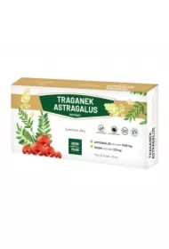 Traganek Astragalus Suplement diety