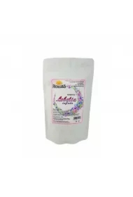 Lobelia Inflanta Stroiczka Rozdęta