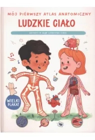 Mój pierwszy atlas anatomiczny. Ludzkie ciało. Pod