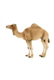 Figurka Wielbłąd Arabski