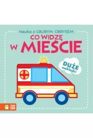 Co widzę w mieście. Nauka z grubym obrysem