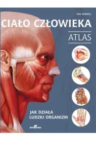 Ciało człowieka. Atlas. Jak działa ludzki organizm
