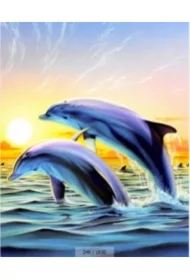 Malowanie po numerach - Delfin