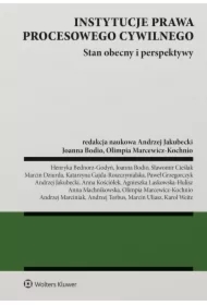Instytucje prawa procesowego cywilnego. Stan obecny i perspektywy