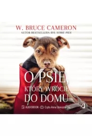 O psie, który wrócił do domu