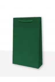 Torebka prezentowa jednobarwna T2 zielona