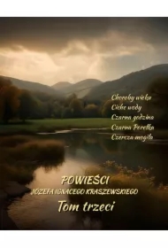 Powieści Józefa Ignacego Kraszewskiego. Tom 3