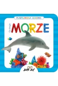Plastelinkowa akademia. Co kryje morze?