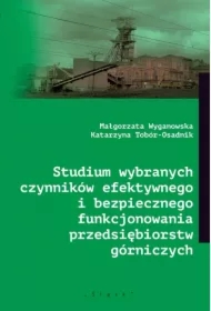 Studium wybranych czynników efektywnego...