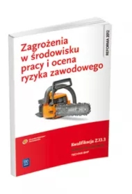 Zagroż. w środ. pracy i ocena ryzyka Kwal. Z.13.3