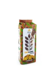 Ciastka owsiane z czekoladą