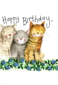 Karnet Urodziny S97 3 Koty