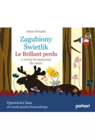Zagubiony Świetlik. Lucerito Perdido w wersji dwujęzycznej dla dzieci