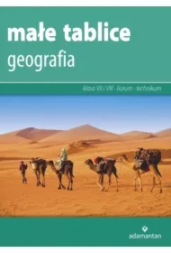 Małe tablice. Geografia. Klasa 7 i 8 oraz liceum i technikum