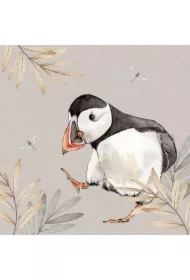 Karnet Swarovski kwadrat CL4702 Maskonur