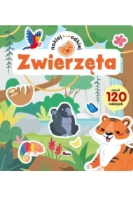 KSIAZECZKA EDUK 240X255 ZWIERZETA NAKL/ODKL AWM