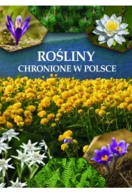 Rośliny chronione w Polsce