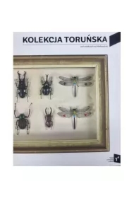 Kolekcja Toruńska Zbiory Centrum Sztuki Współczesnej Znaki Czasu w Toruniu