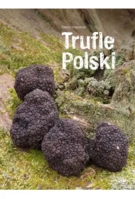 Trufle Polski
