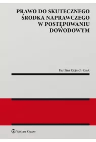 Prawo do skutecznego środka naprawczego w postępowaniu dowodowym